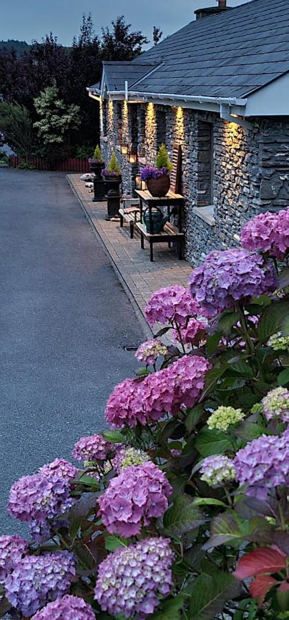 Kenmare Driftwood Bed & Breakfast Экстерьер фото